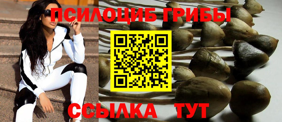 Псилоцибиновые грибы ЛСД Ступино