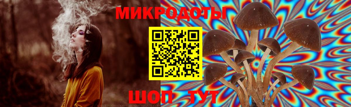 Галлюциногенные грибы прущие грибы  Вход с VPN  Ступино  Псилоцибиновые грибы GOLDEN TEACHER 